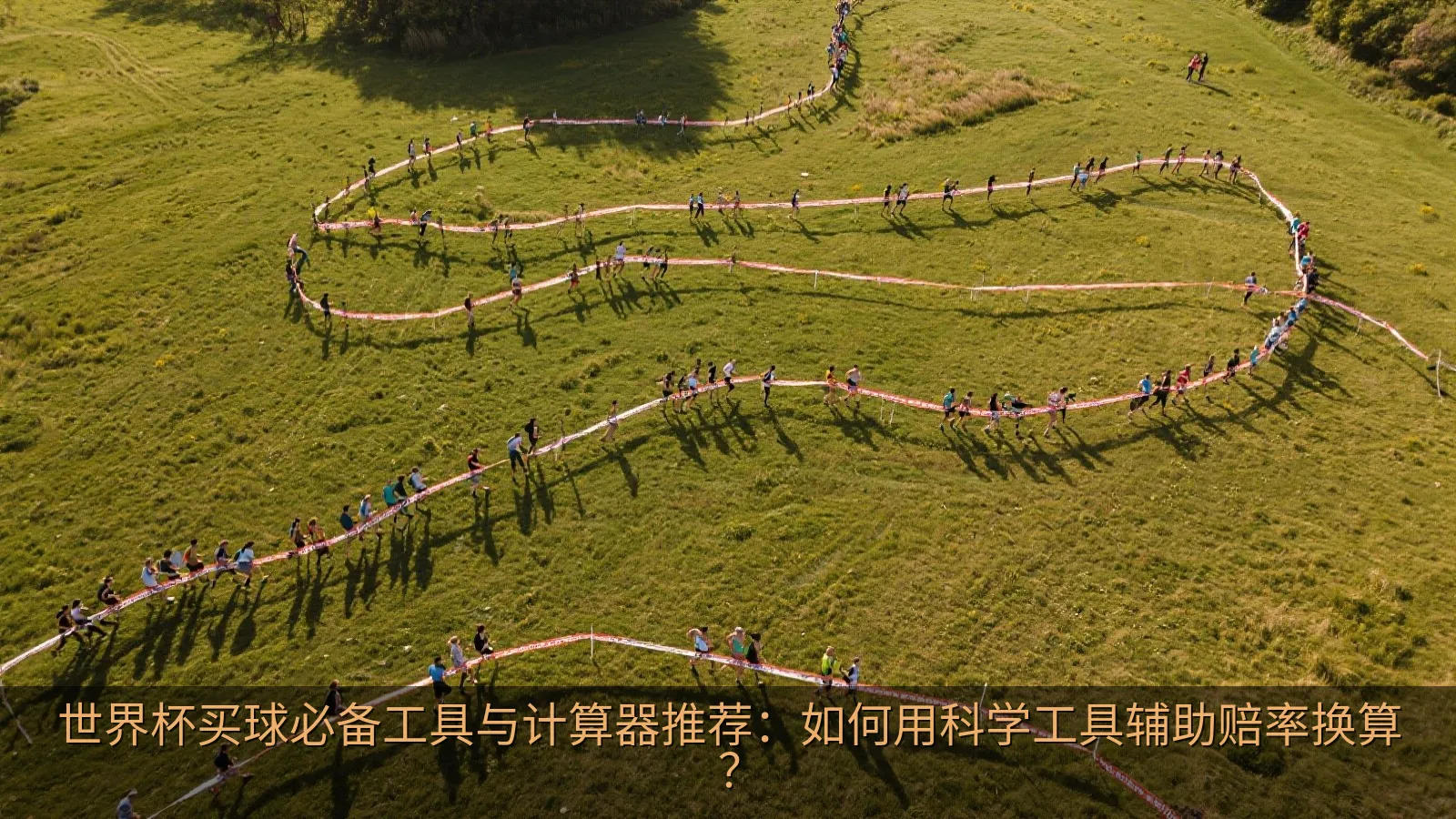 世界杯买球必备工具与计算器推荐：如何用科学工具辅助赔率换算？